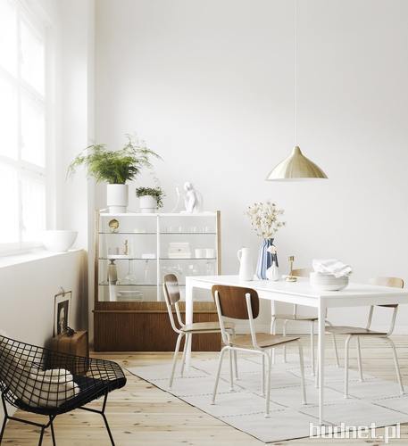 Tikkurila Optiva White_kolor White, Tikkurila Everal Aqua Semi Matt 40_kolor bialy